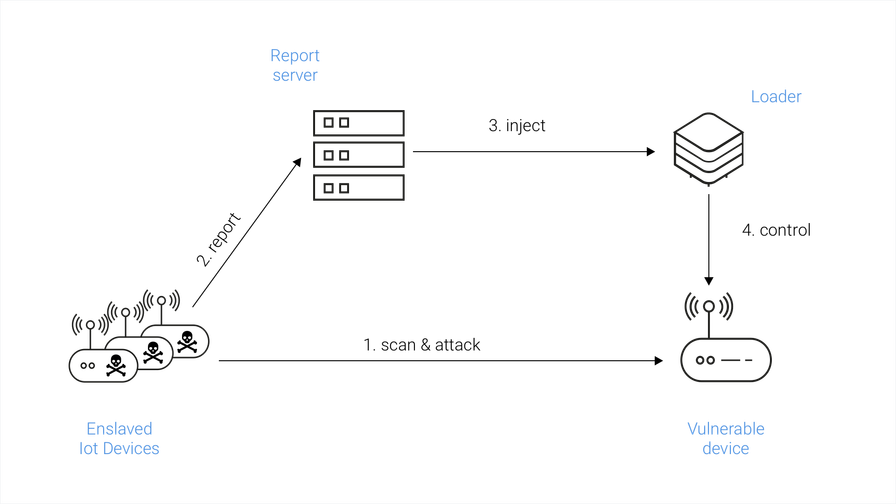 Mirai infection process
